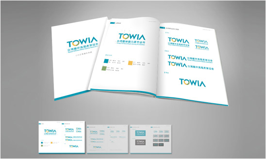 <span>TOWIA CIS 設計及名片</span><i>→</i>